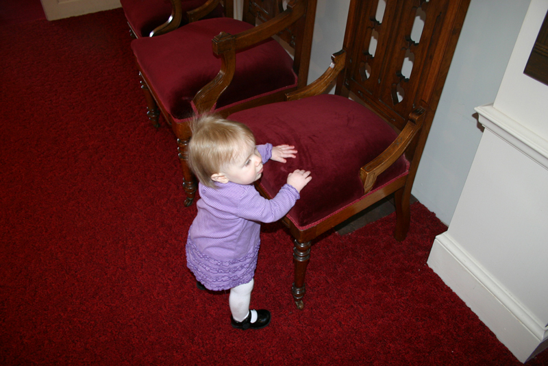 Picture 488