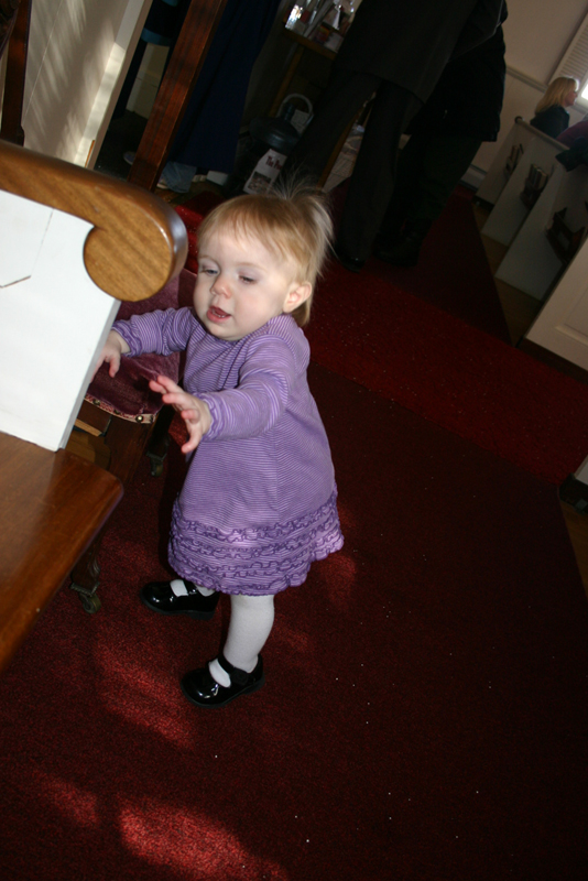 Picture 502