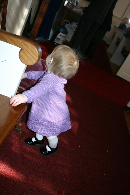 Picture 503
