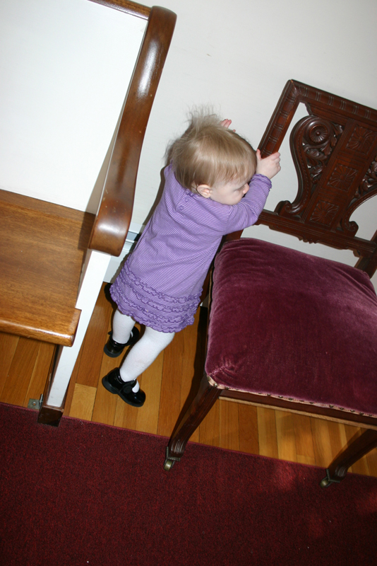 Picture 504