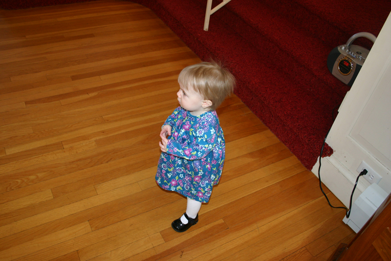 Picture 838