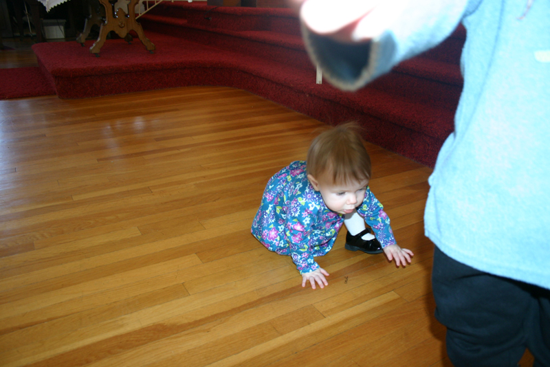 Picture 842