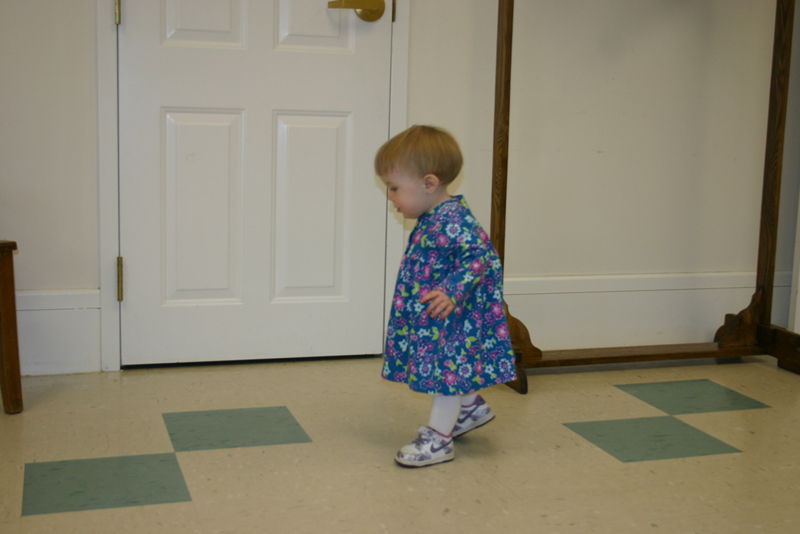 Picture 2189