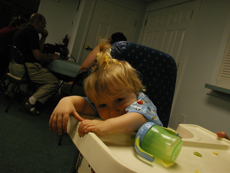 Picture 5261