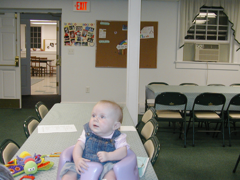 Picture 535