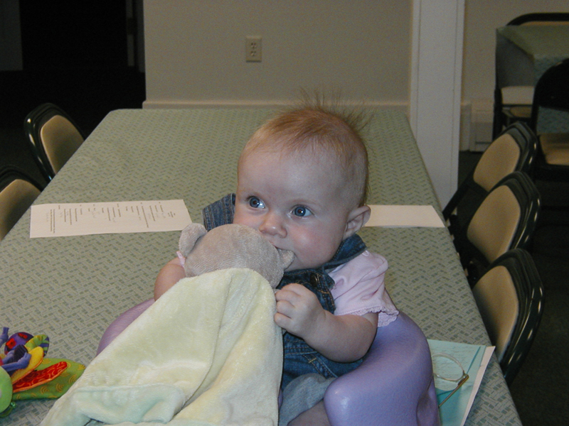 Picture 541