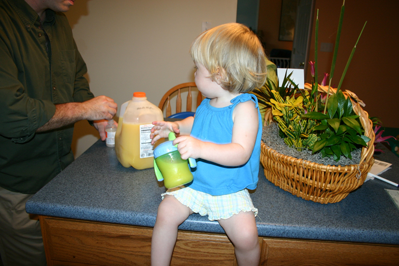 Picture 6390
