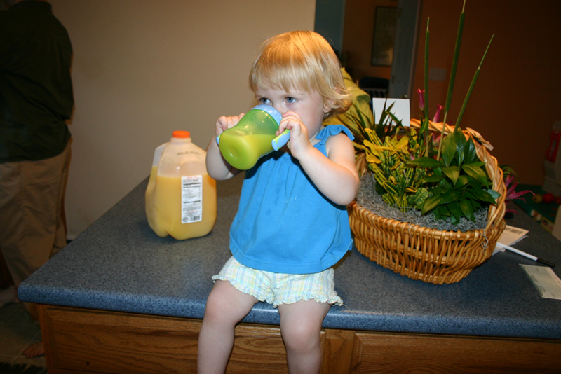 Picture 6391