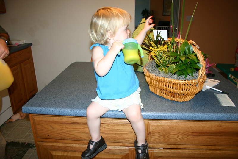 Picture 6392