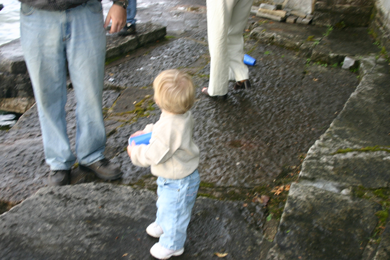Picture 4233