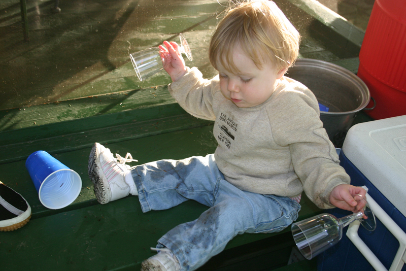 Picture 4282