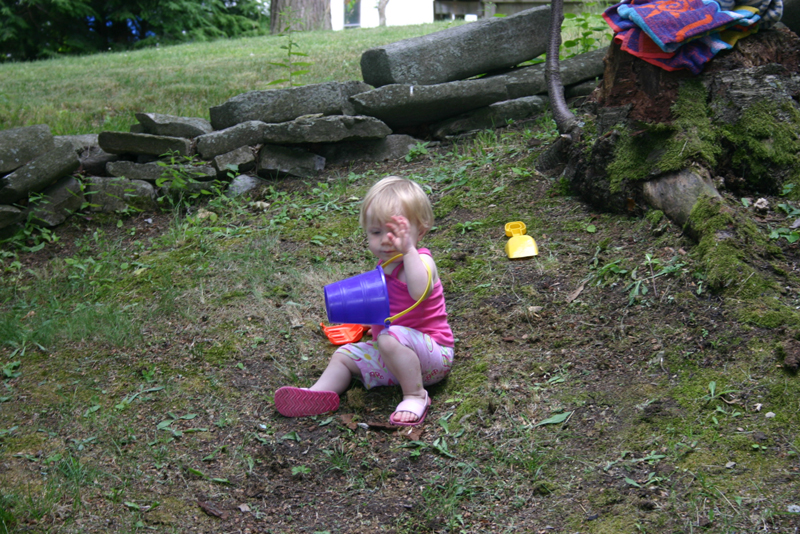 Picture 4331