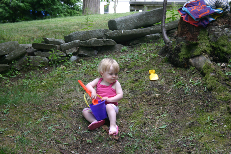 Picture 4335
