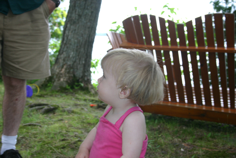 Picture 4393