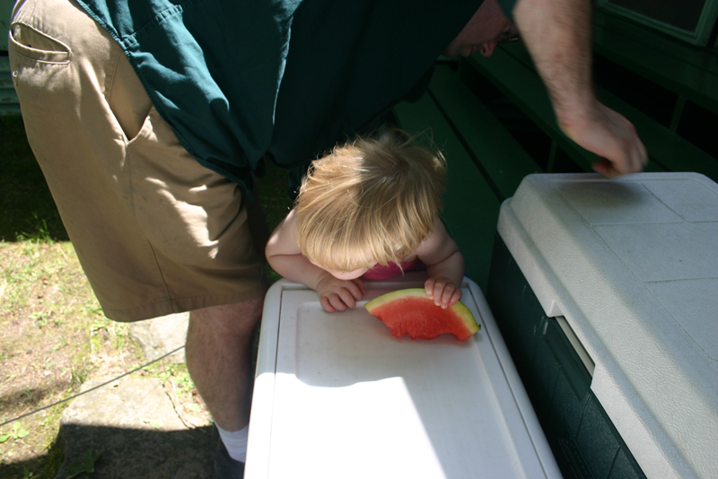 Picture 4431
