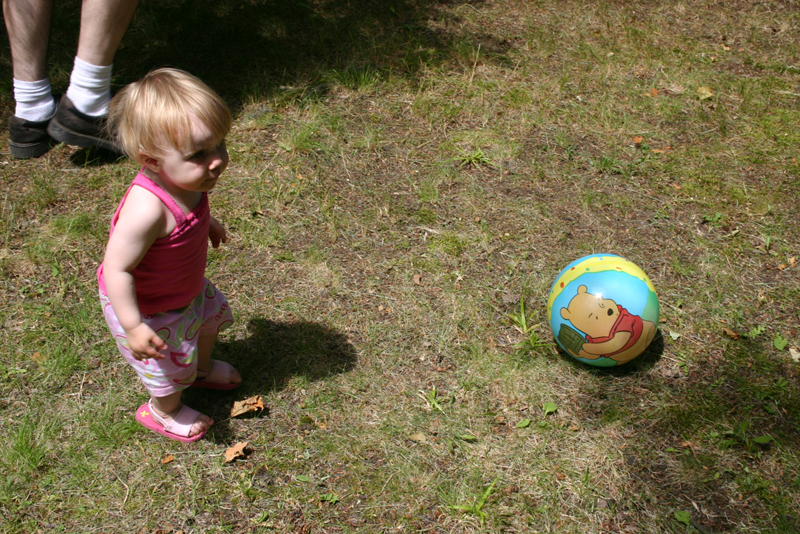 Picture 4435