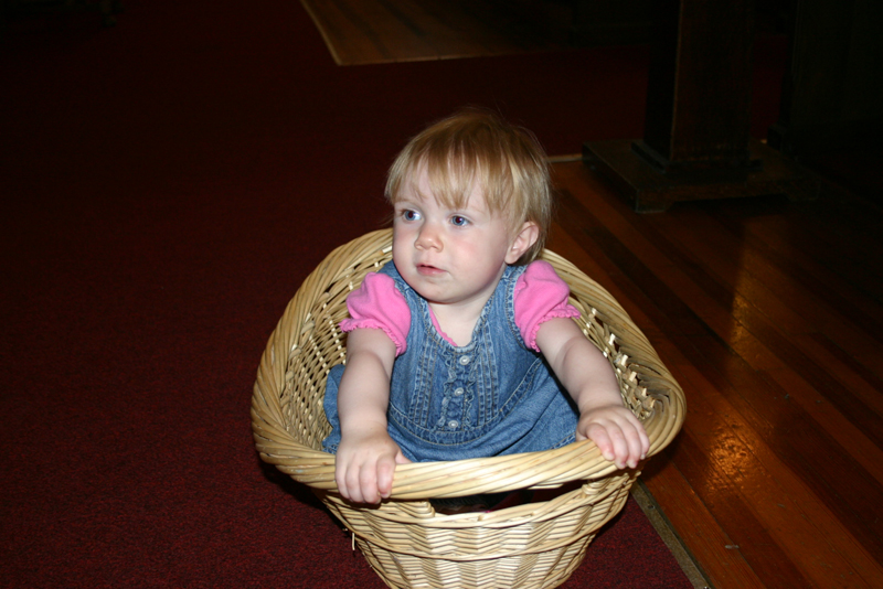 Picture 4303