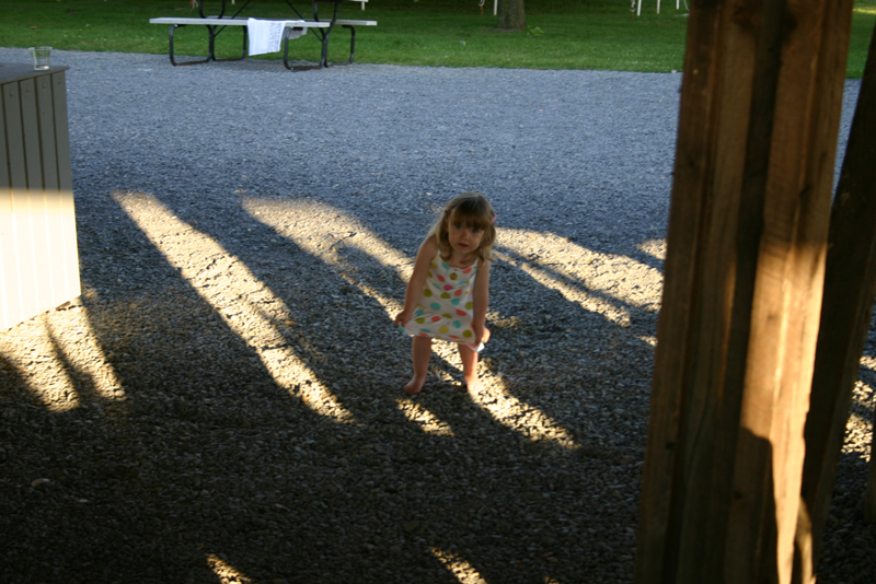 Picture 14956