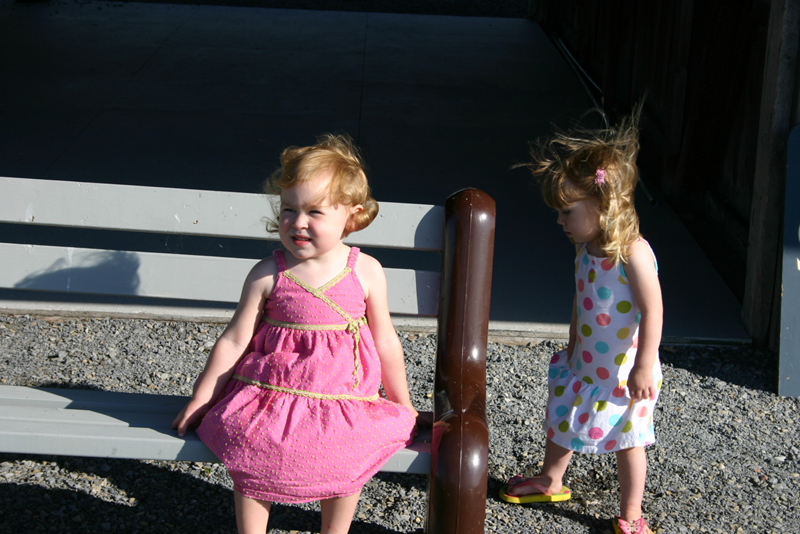 Picture 15015