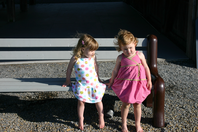 Picture 15024