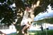 Picture 14938