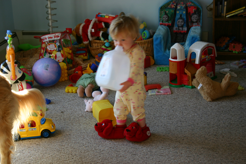 Picture 5313