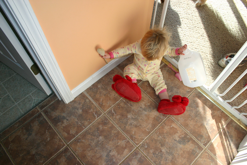 Picture 5321
