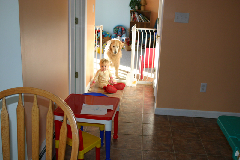 Picture 5323