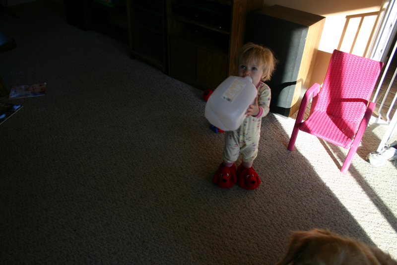 Picture 5340