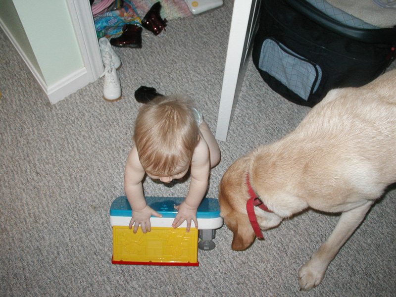 Picture 004