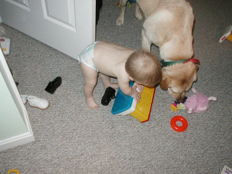 Picture 006