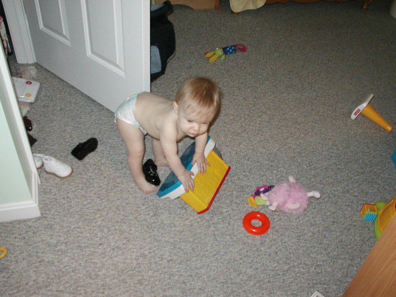 Picture 009