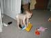 Picture 010