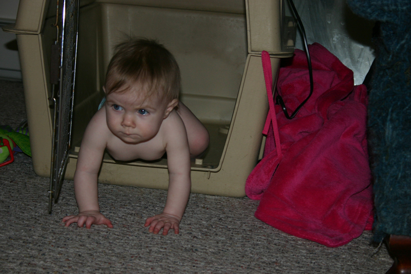 Picture 264