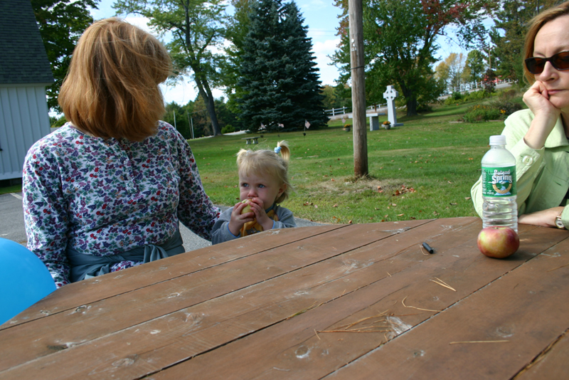 Picture 6737