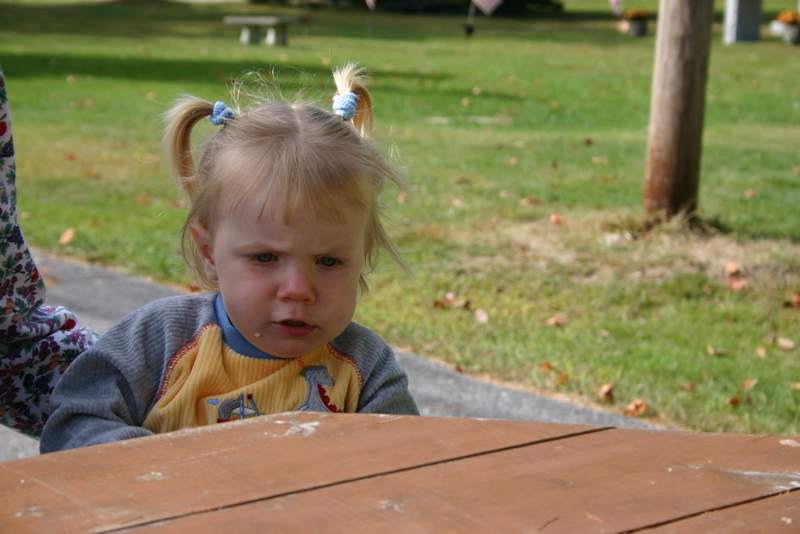 Picture 6739