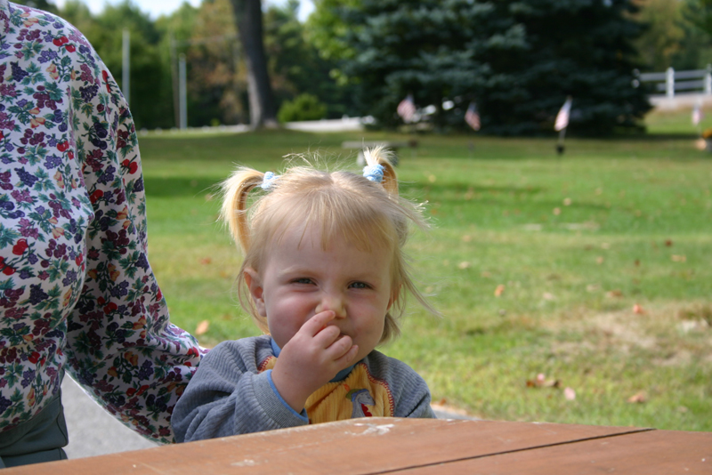 Picture 6741