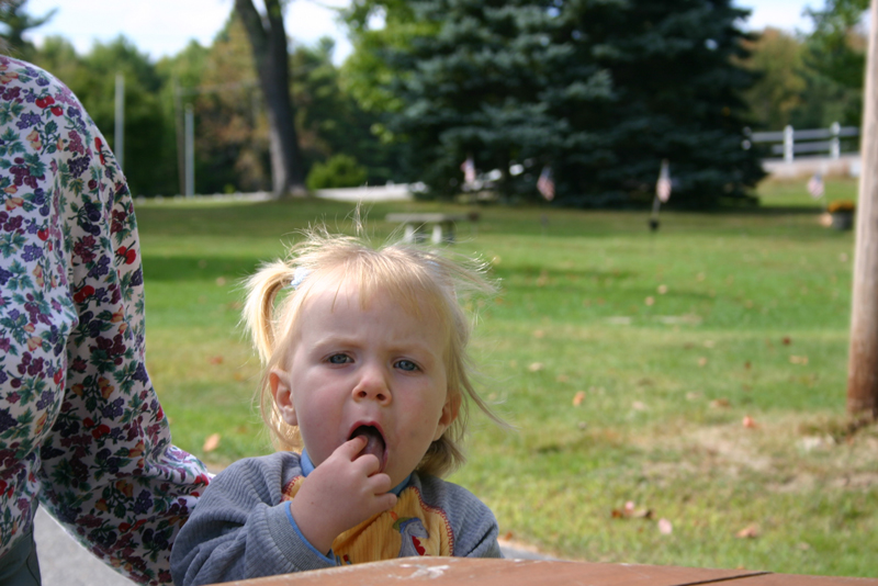 Picture 6742