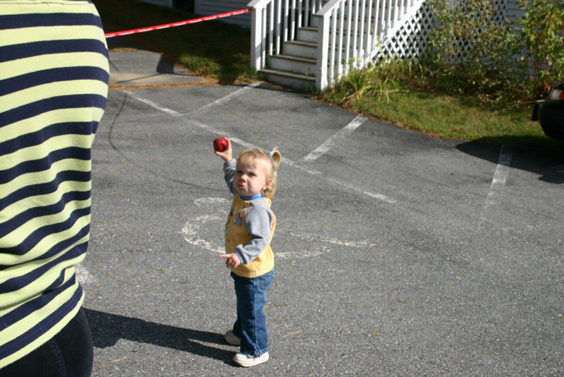 Picture 6844