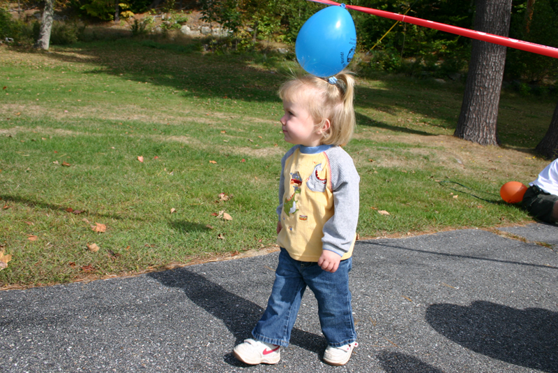Picture 6852