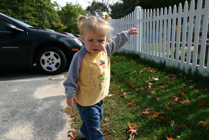 Picture 6855