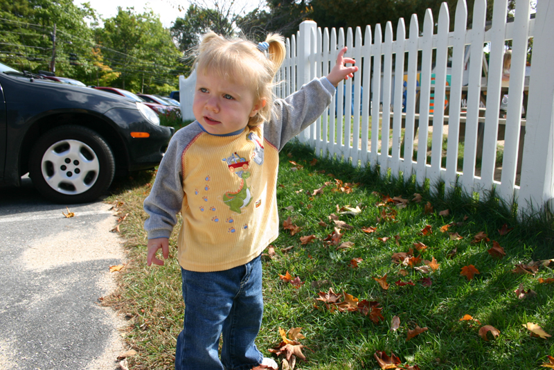 Picture 6856