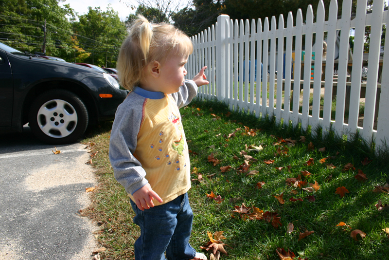 Picture 6857