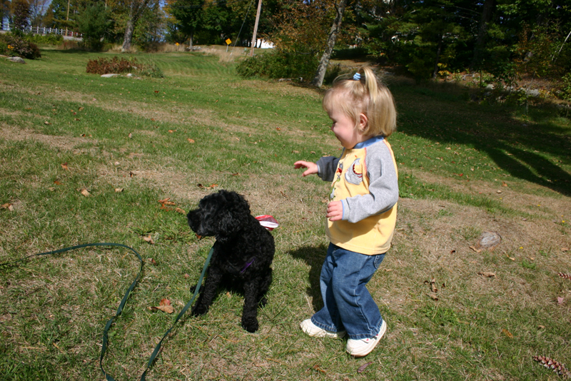 Picture 6859