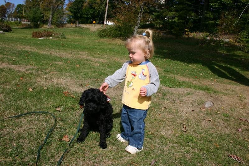 Picture 6861