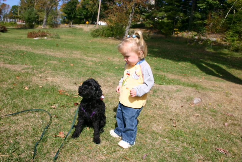 Picture 6862