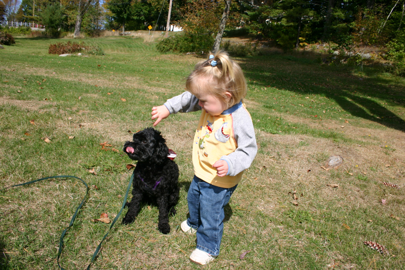 Picture 6863