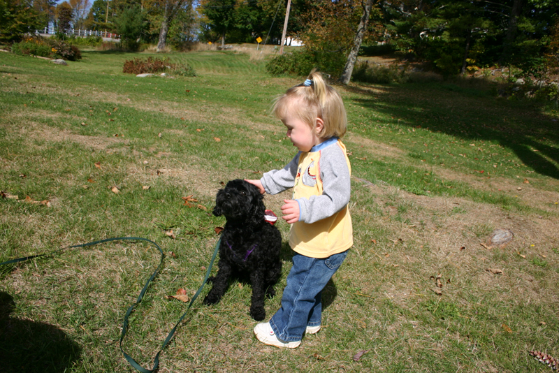 Picture 6864