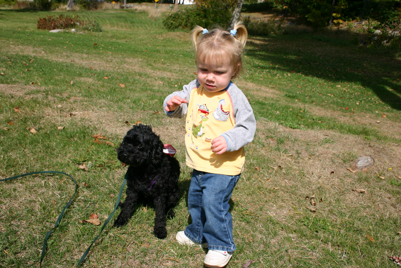 Picture 6865