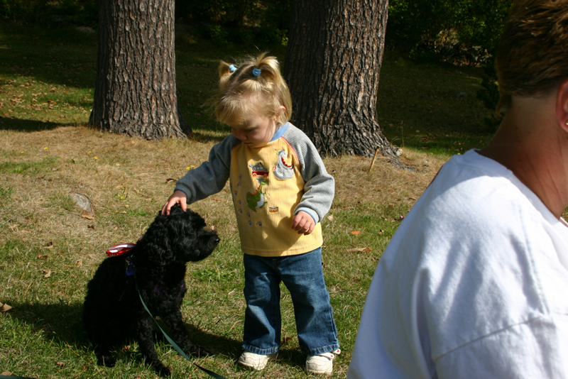 Picture 6866